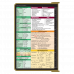 WhiteCoat Clipboard® - Tactical Brown Pharmacy Edition